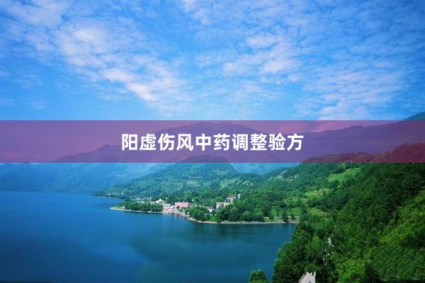 阳虚伤风中药调整验方